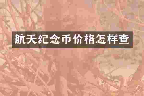 航天纪念币价格怎样查