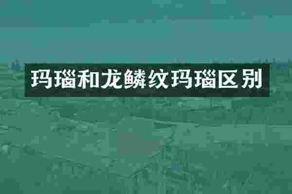 玛瑙和龙鳞纹玛瑙区别