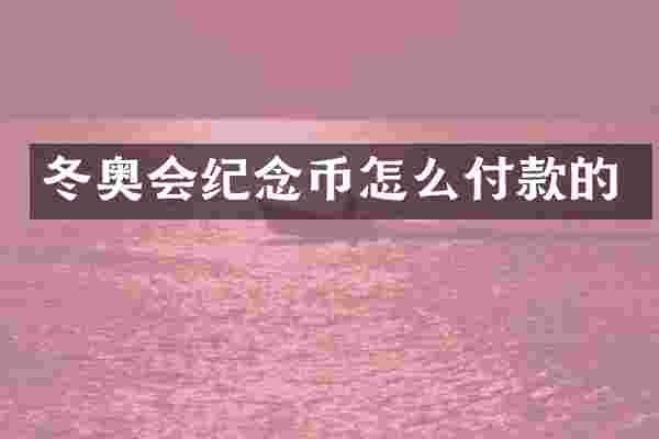 冬奥会纪念币怎么付款的