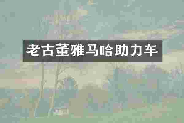 老古董雅马哈助力车