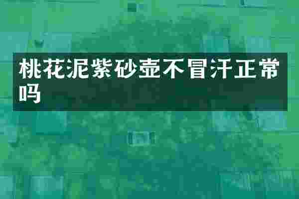 桃花泥紫砂壶不冒汗正常吗