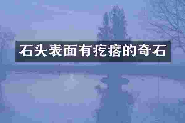 石头表面有疙瘩的奇石