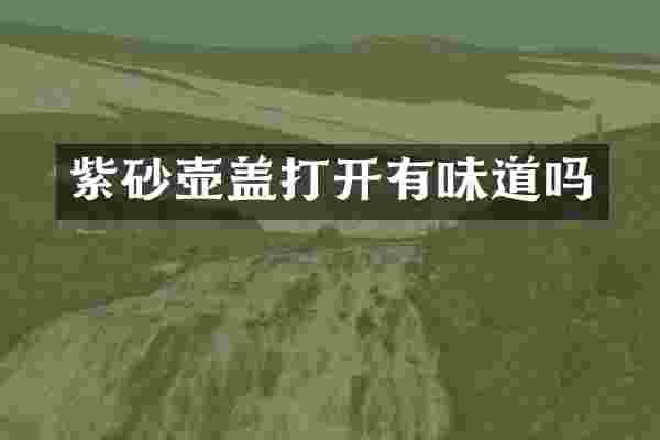 紫砂壶盖打开有味道吗