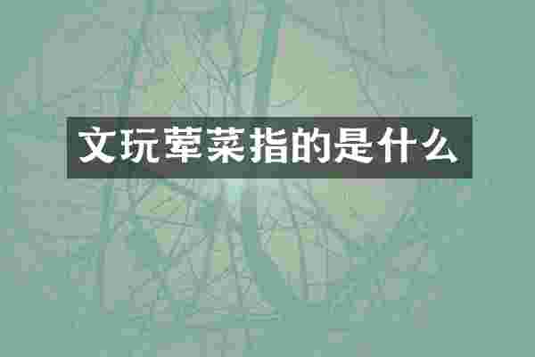 文玩荤菜指的是什么