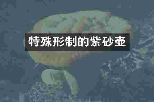 特殊形制的紫砂壶
