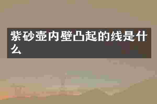 紫砂壶内壁凸起的线是什么