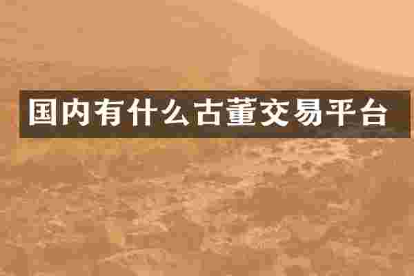 国内有什么古董交易平台
