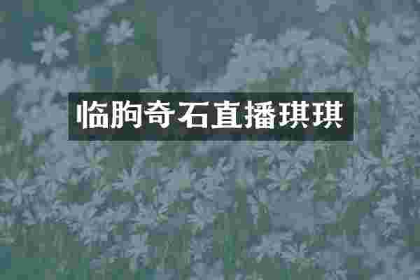 临朐奇石直播琪琪