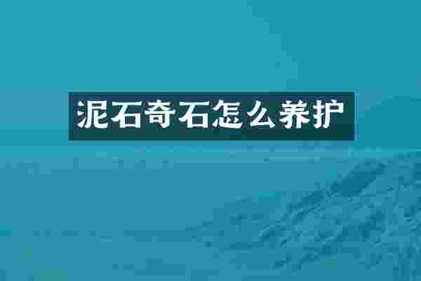 泥石奇石怎么养护