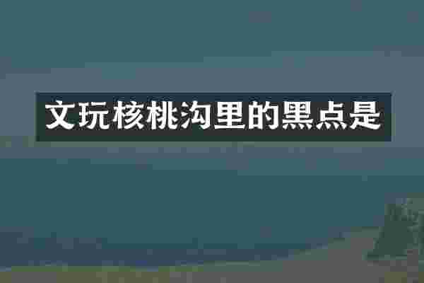 文玩核桃沟里的黑点是