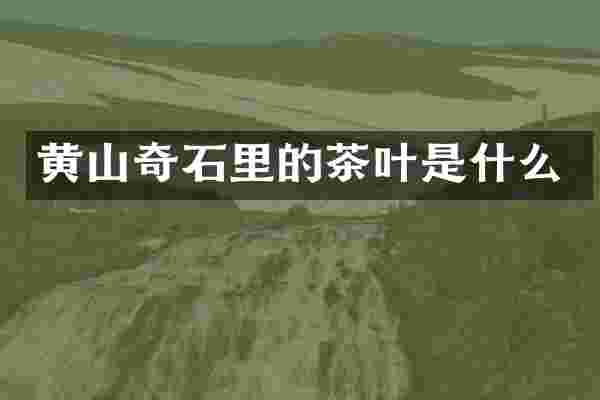 黄山奇石里的茶叶是什么
