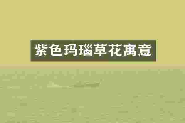 紫色玛瑙草花寓意