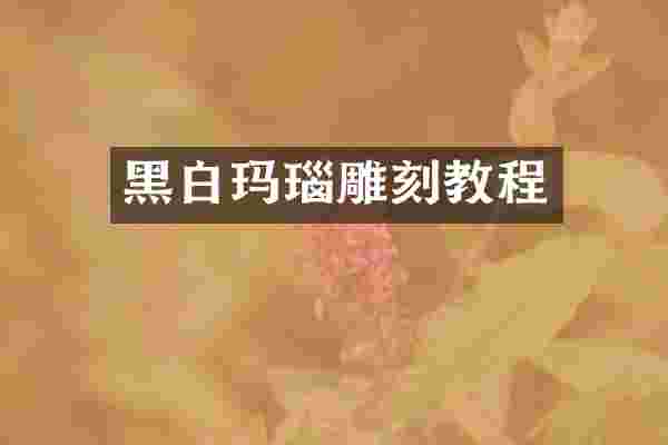 黑白玛瑙雕刻教程