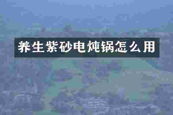 养生紫砂电炖锅怎么用