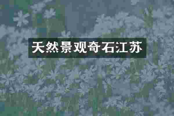 天然景观奇石江苏