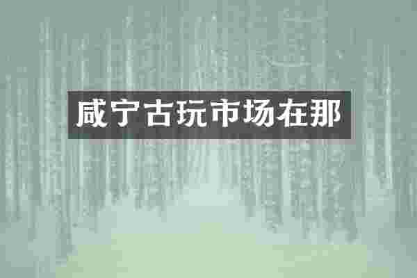 咸宁古玩市场在那