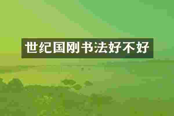 世纪国刚书法好不好