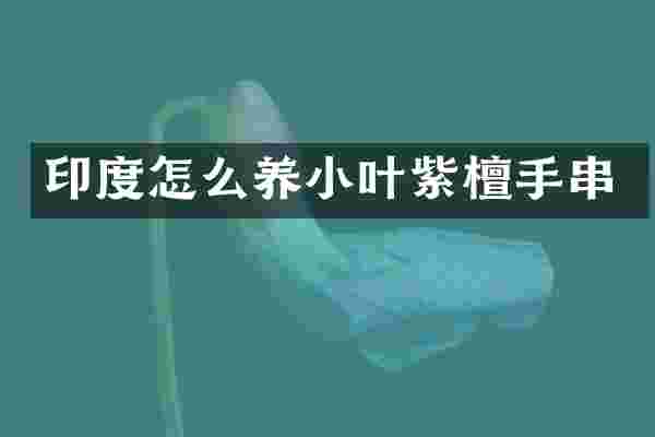 印度怎么养小叶紫檀手串