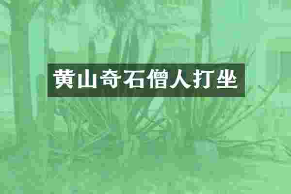 黄山奇石僧人打坐