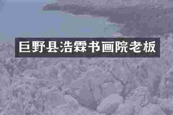 巨野县浩霖书画院老板