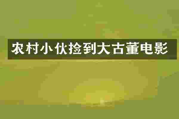 农村小伙捡到大古董电影