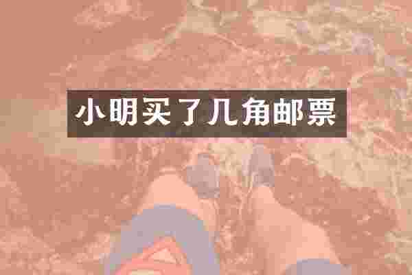 小明买了几角邮票