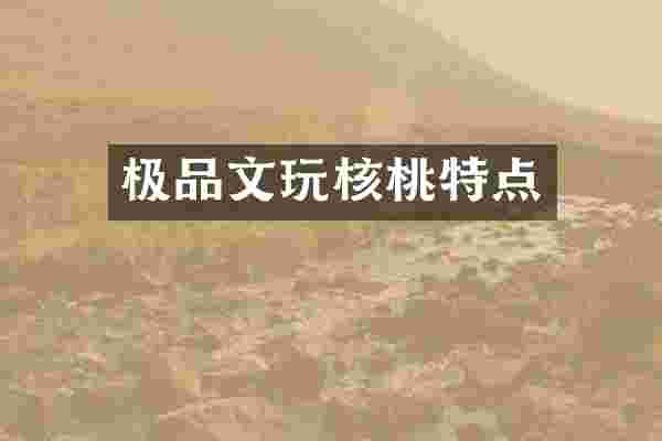文玩核桃特点
