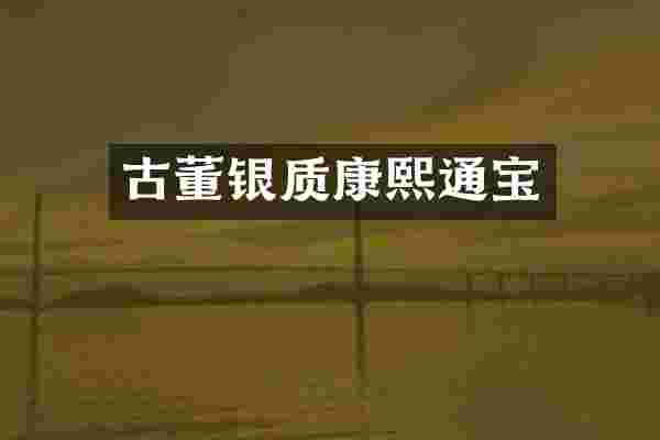 古董银质康熙通宝
