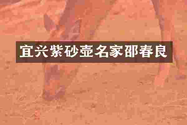 宜兴紫砂壶名家邵春良