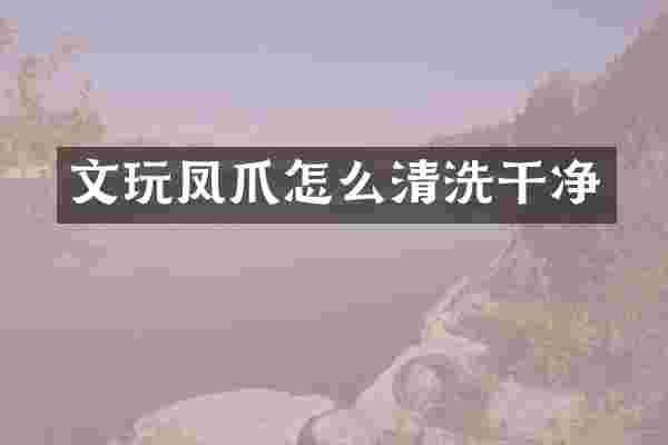 文玩凤爪怎么清洗干净