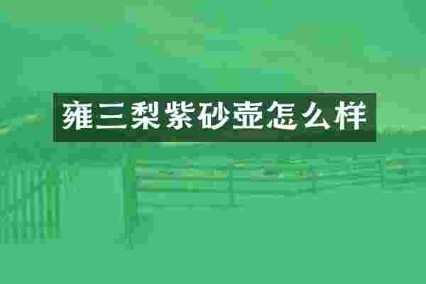 雍三梨紫砂壶怎么样