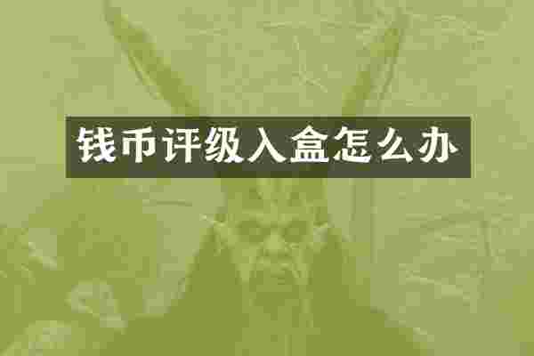 钱币评级入盒怎么办