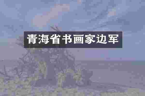 青海省书画家边军