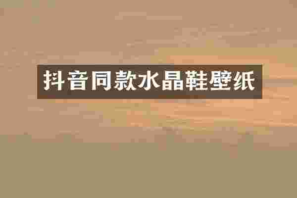 抖音同款水晶鞋壁纸