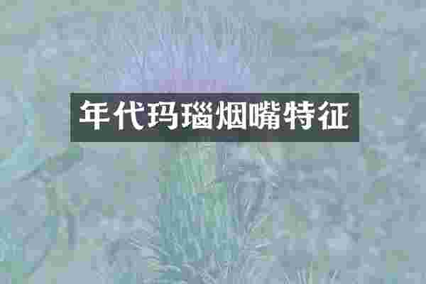 年代玛瑙烟嘴特征