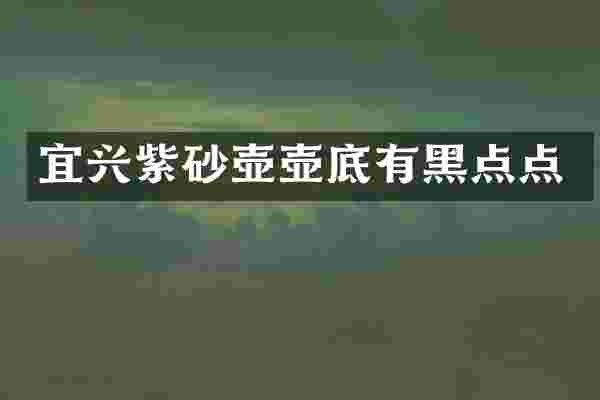 宜兴紫砂壶壶底有黑点点