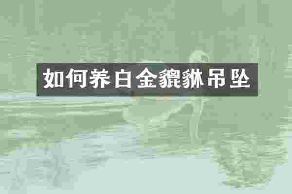 如何养白金貔貅吊坠