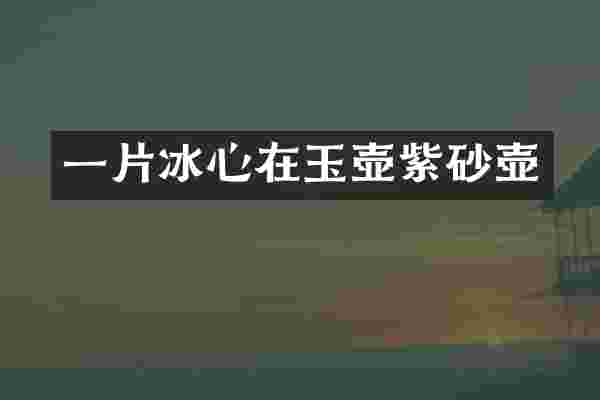 一片冰心在玉壶紫砂壶