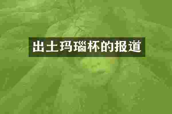 出土玛瑙杯的报道