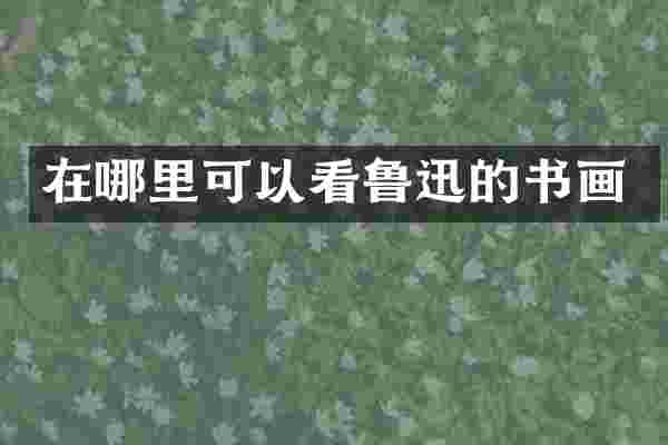 在哪里可以看鲁迅的书画
