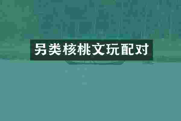 另类核桃文玩配对