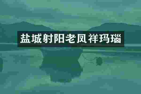 盐城射阳老凤祥玛瑙