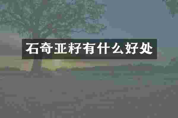 石奇亚籽有什么好处