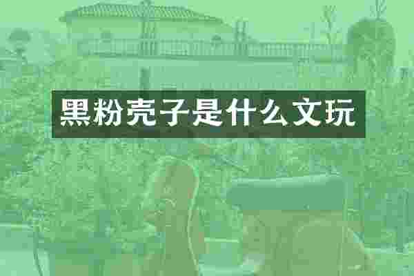 黑粉壳子是什么文玩