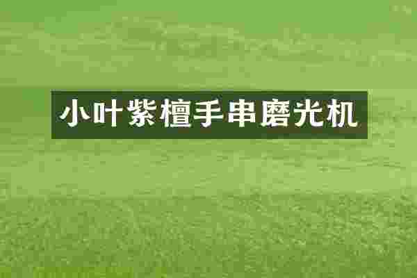 小叶紫檀手串磨光机