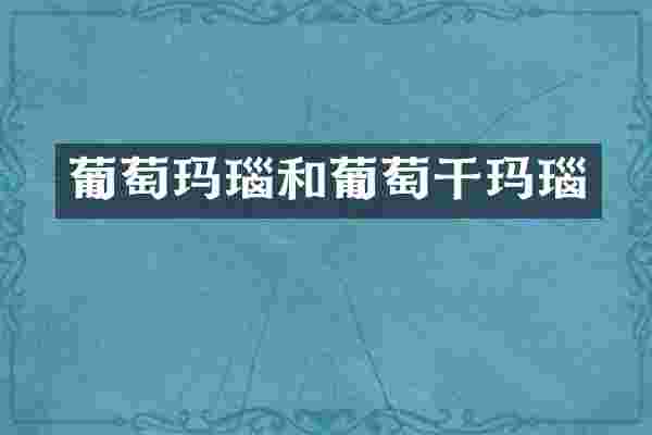 葡萄玛瑙和葡萄干玛瑙