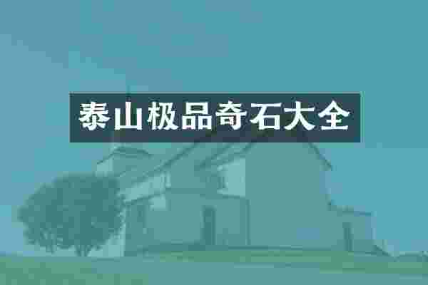泰山极品奇石大全