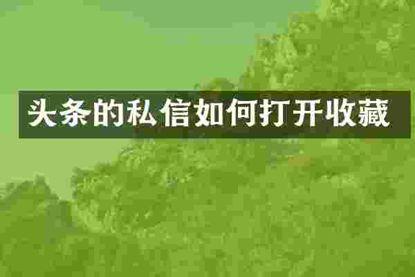 头条的私信如何打开收藏