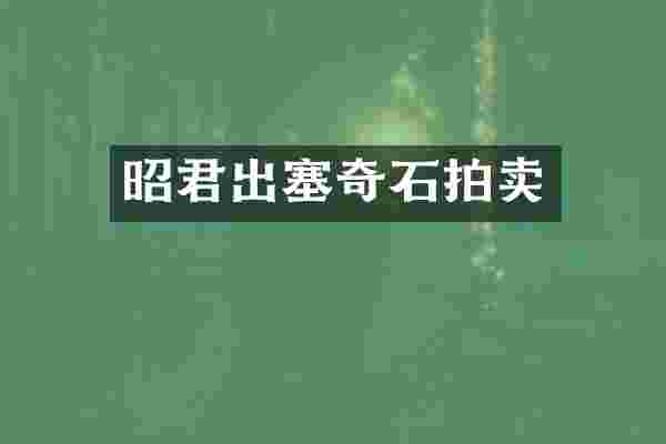 昭君出塞奇石拍卖