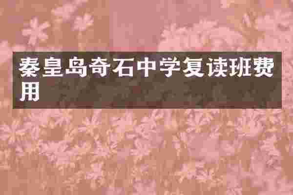 秦皇岛奇石中学复读班费用